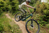Ibis Ripley V5 Frameset